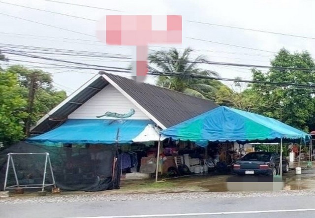 ขายบ้านเดี่ยว   อำเภอท่าชนะ สุราษฎร์ธานี (PKK02-15376)