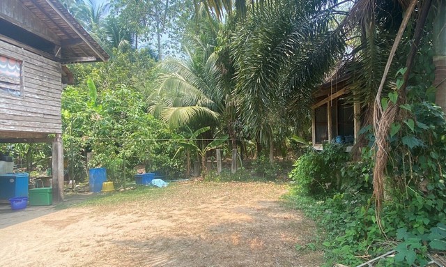 ขายบ้านเดี่ยว  อำเภอเมืองสงขลา  สงขลา (PKK02-14661)