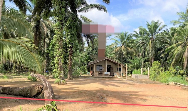 รายละเอียดเพิ่มเติมCode ID :  PKK02-14554ราคาขาย       4,882,000 บาท- ขนาดพื้นที่ :    4,176 ตร.ว (10 ไร่ / 1 งาน / 76 ตร.ว)- พื้นที่ใช้สอย : 105 ตร.ม- จำนวนห้อง :  3 ห้องนอน 1 ห้องน้ำ- ที่จอดรถ :   1-2 คัน- บ้านเดี่ยว :     1 ชั้น- บ้านเดี่ยวหันทางทิศ : -- อายุอาคาร :    18 ปีพิกัดทรัพย์  :    https://maps.app.goo.gl/968VCDg2kHnFM5NC7สถานที่ใกล้เคียง- ใกล้ตลาดนัดนายก- ใกล้โรงพยาบาลส่งเสริมสุขภาพตำบลไทรโสภา - ใกล้วัดบางพาวนาราม- ใกล้โรงเรียนบ้านประตูพลิกส�