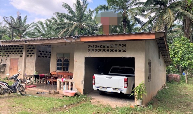 ขายบ้านเดี่ยว   อำเภอพระแสง สุราษฎร์ธานี (PKK02-14554)