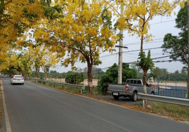 ขายที่ดิน 25 ไร่ อ.หางดง เชียงใหม่ ใกล้ตลาดน้ำโท้ง ที่ดินทำเลดี ติดถนน 