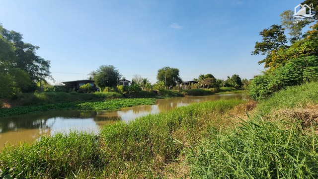 ขายที่ดินองค์รักษ์ คลอง 15 ติดคลองขายราคาไร่ละ 2.55 ล้านบาท ( มีเนื้อที่ 2-0-50 ไร่ )ขายที่ดินติดถนนลาดยาง คลอง 15 องค์รักษ์ 2 ไร่ ข้างหลังติดคลอง ทำเลดี เหมาะทำค้าขาย ร้านค้า ทำการเกษตร ปลูกบ้าน หรือซื้อเก็บเก็งกำไรในอนาคตที่ตั้ง : นย.3004 ตำบล บึงศาล อำเภอองครักษ์ นครนายก 26120ขายที่ดิน เนื้อที่ 2-0-50 ไร่  ด้านหน้าติดถนนลาดยาง ข้างหลังติดคลอง- กว้าง 30.9  ม. ติดถนนลาดยาง หมายเลข 3004- ล