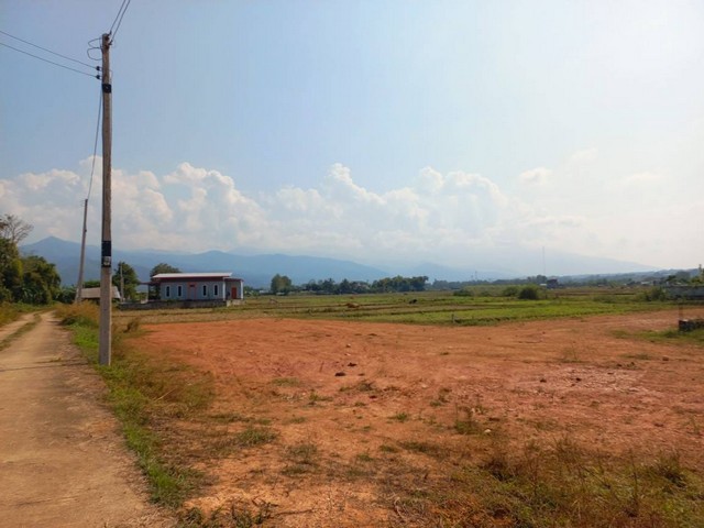 ขายที่ดินถมแล้ว ที่ดินอยู่ที่บ้านร้อง ต.ปัว อ.ปัว จ.น่าน  ใกล้ ถนน101 เพียง 100เมตรเนื้อที่ 1 ไร่ 48 ตรว. ขาย ตรว ละ 4,500 บาท ราคานี้แค่3เดือนเท่านั้น ราคาเจ้าของ วิวสวย อากาศดี ไม่แออัด วัดเจดีย์อยู่ไม่ห่างเกิน วิวดอยภูคา และท้องนาให้ภาพบรรยาย ไม่ไกลจาก โรงเรียนบ้านร้อง อยู่ตรงซอย ตรงข้ามก๋วยเตี๋ยวบ้านร้อง เหมาะสำหรับ ที่พักตากอากาศ โฮมสเตย์ ซื้อเก็บ พื้นที่สวยมากใ