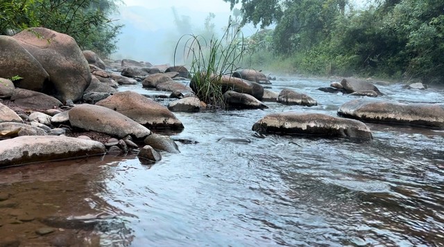 ขายที่ดิน 5 ไร่ ริมแม่น้ำว้า เนื้อที่ 5 ไร่  อ.บ่อเกลือ จ.น่าน