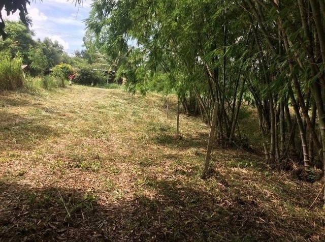 ขายด่วน  ที่ดินสวนผึ้ง ราชบุรี  เนื้อที่ 3 งาน 73 ตรว. พื้นที่สงบ