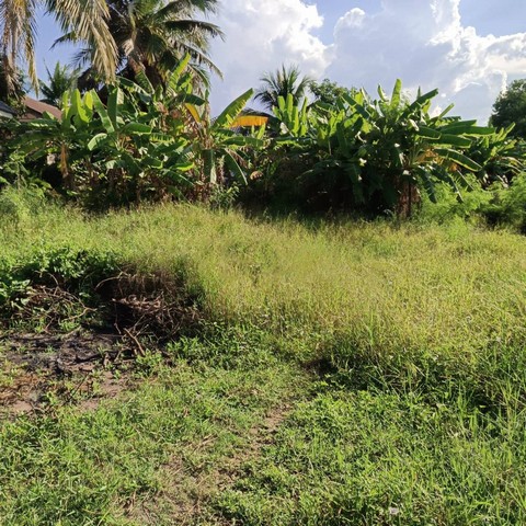 ขายที่ดินเปล่า 295 ตร.ว. ต.สูงเนิน อ.สูงเนิน จ.นครราชสีมา  ราคา  3,687,500  บาท