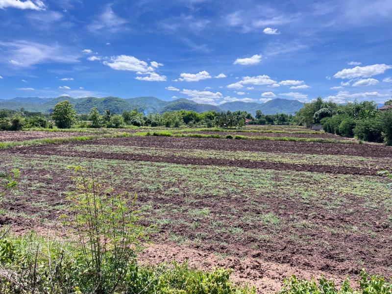 รหัสทรัพย์ : TM650163  ขายที่ดินสวยติดถนนสายหลัก(สระบุรี-หล่มสัก)  ขายยกแปลง 16 ไร่ 3 งาน 9 ตรว. (ครุฑแดง)25 ล้านบาทรายละเอียด ที่สวยมาก วิวดี จังหวัด :  เพชรบูรณ์อำเภอ : หล่มสักตำบล : บุ่งน้ำเต้า????????‍♀️โทร   : แหม่ม  083 459 2878 , 097 242 7356ลูกค้าแอดเพื่อนแล้วทักด้วยสติกเกอร์ได้เลยนะคะ  ทางเราจะมีทีมงานตอบข้อมูลให้ค่ะ   ^_^  ******************************Siam Assetบริการเกี่ยวกับอสังหาฯรับซื้อ  บ้าน อาคาร ที่ดินอพาร์ท