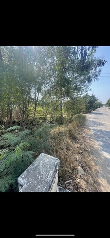 ขายด่วน ที่ดินขนาด 15 ไร่ 2 งาน 77 ตารางวา ตำบลลานตากฟ้า นครชัยศรี จังหวัดนครปฐม 