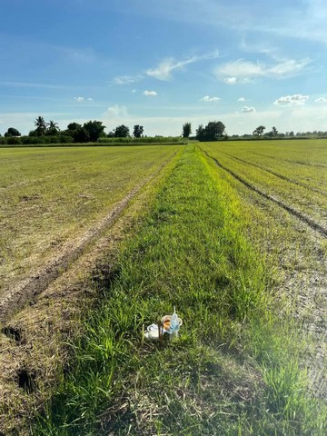 ขายที่ดิน เนื้อที่ 18 ไร่ 35.2 ตารางวา ถ.มะขามเฒ่าอู่ทอง ดอนเจดีย์ สุพรรณบุรี