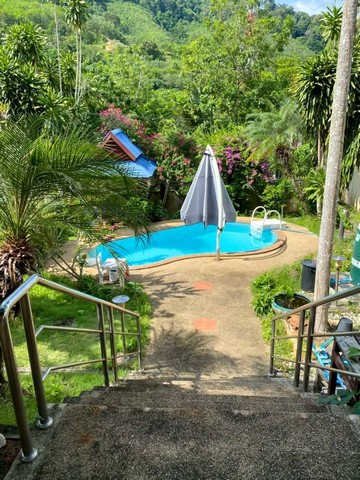 #PR040 For Rent : Kathu, Private Pool Villa @Soi Kathu Waterfall, 3 Bedrooms 3 Bathrooms  3 bedrooms with private swimming pool Area: 956 Sqm.Location: Soi Kathu Waterfall- 3 bedrooms- 3 bathrooms - living room- kitchen- pantry room- laundry room - swimming pool - deck area- 2 cars parking  Nearby place- Kathu Waterfall- Flying Hanuman- 20 minutes to Central Phuket Floresta Rent price 70,000 baht/month for yearly contract.----------------------------------#PR040 สำหรับเช่า : พลูวิลล่าส่วนตัว ซอยนํ้าตกกะทู้ 3 ห้องนอน 3 ห้องนํ้า3 ห้องนอนพร้อมสระว่ายน้ำส่วนตัวพื้นที่: 956 ตรม.ที่ตั้ง: ซอยน้ำตกกะทู้- 3 ห้องนอน- 3 ห้องน้ำ- ห้องนั่งเล่น- ครัว- ห้องเตรียมอาหาร- ห้องซั