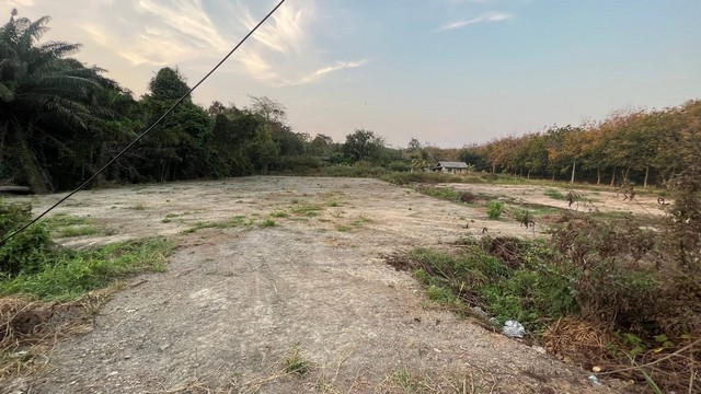 ที่ดินติดถนนหมายเลข3 ใกล้หาดสวนสน เมือง จ.ระยอง 2 ไร่