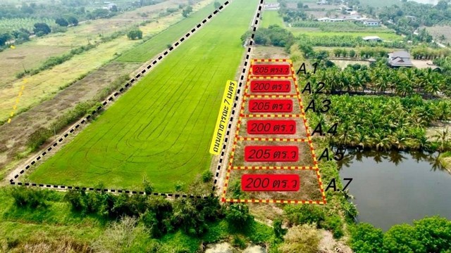 #ที่ดินคลอง9  หนองเสือ ปทุมธานี ห่างตลาดคลองเก้า 5 กม. ✅205 ตร.ว 717,500 บาท ✅200 ตร.ว 700,000 บาท