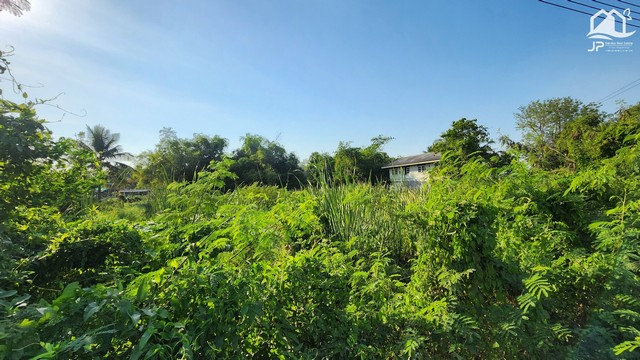 ขายที่ดินติดถนนลาดยาง-ติดคลอง คลอง 15 องค์รักษ์ 4 ไร่ ข้างหลังติดคลอง ทำเลดี เหมาะทำค้าขาย ร้านค้า  ปลูกบ้าน ทำโกดัง ออฟฟิศ