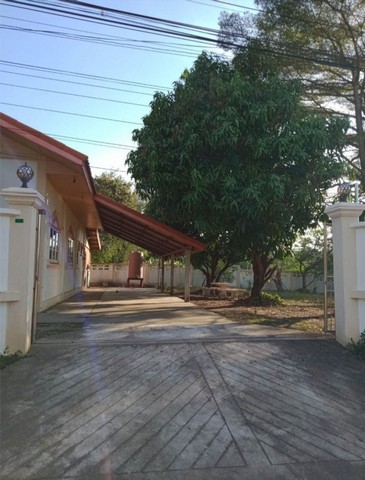 ขายบ้านเดี่ยว ชั้นเดียวพร้อมที่ดิน 240 ตรว. ที่ดินสูงกว่าถนน สวยร่มรื่น เป็นพื้นที่ลาดเชิงเขา ในอำเภอเมืองบุรีรัมย์ เดินทางสะดวก