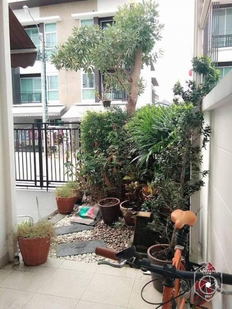 ปล่อยเช่าทาวน​โฮม 3ชั้น บ้านกลางเมืองโชคชัย 4 ใกล้เซนทรัลอีสต์วิวล์ ขนาด 25.7ตร.วา เนื้อที่ใช้สอย149ตรม.3 ห้องนอน 3ห้องน้ำ