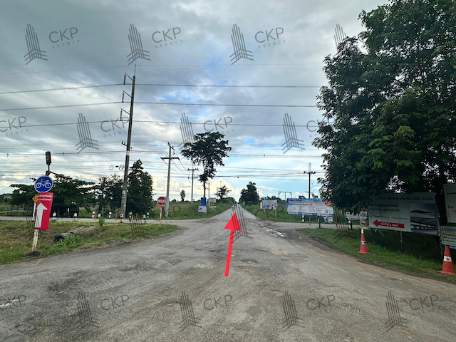 ขาย ที่ดินเปล่า ขนาด 13 ไร่ 48 ตร.วา เหมาะทำการเกษตร ต.พลับพลา อ.โชคชัย นครราชสีมา