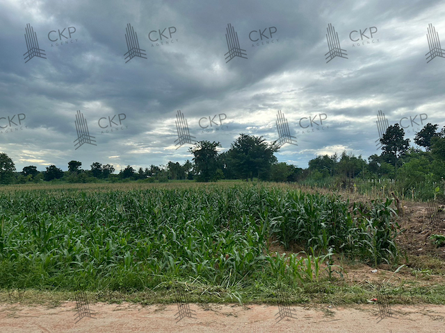 ขาย ที่ดินเปล่า ขนาด 13 ไร่ 48 ตร.วา เหมาะทำการเกษตร ต.พลับพลา อ.โชคชัย นครราชสีมา