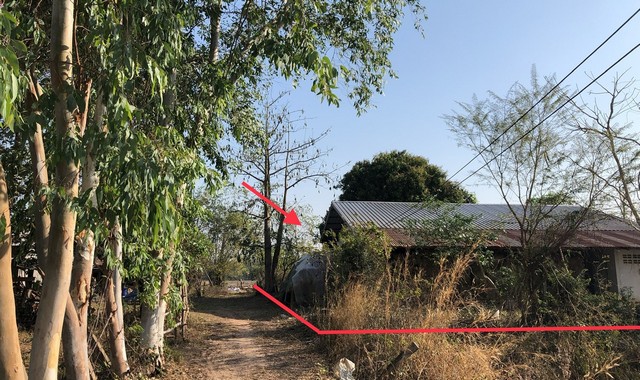 รายละเอียดเพิ่มเติม Code ID : PKK02-14673  ราคาขาย  1,061,000 บาท- ขนาดพื้นที่ :   1909.00 ตร.ว.- พื้นที่ใช้สอย :   144 ตร.ม- จำนวนห้อง :  2 ห้องนอน 2 ห้องน้ำ - ที่จอดรถ :   1    คัน- บ้านหันทางทิศ : - พิกัดทรัพย์ : https://maps.app.goo.gl/FXggr8wwztBfWjRT9    สถานที่ใกล้เคียง- ใกล้โรงพยาบาล ตระการพืชผล- ใกล้โลตัส ตระการพืชผล  - ใกล้บิ๊กซี ดีโป้ ตระการพืชผล- ใกล้ป.ซุปเปอร์ สาขาตระการพืชผล   สอบถามเพิ่มเติม/นัดชมโทร. 097-419-5982(พลอย)โทร. 096-932-4624(ออมสิน)Lin