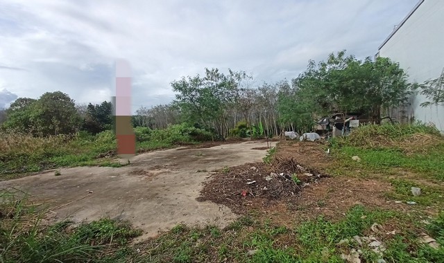 ขายที่ดินว่างเปล่า        อำเภอสะเดา สงขลา (PKK02-09820)