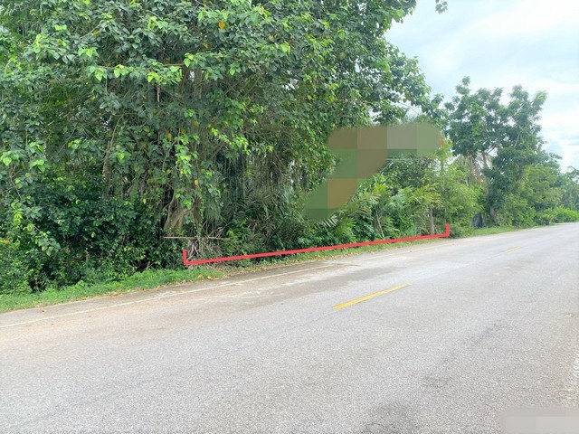 ขายบ้านเดี่ยว  อำเภอกระแสสินธุ์   สงขลา (PKK02-15543)