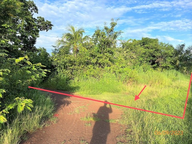  รายละเอียดเพิ่มเติม Code ID : PKK02-15802  ราคาขาย 3,416,000  บาท- ขนาดพื้นที่ :   10506.70 ตร.ว.- พื้นที่ใช้สอย :   72 ตรม- จำนวนห้อง :  1 ห้องนอน 1 ห้องน้ำ  - ที่จอดรถ :   1    คัน- บ้านหันทางทิศ : - พิกัดทรัพย์ : https://maps.app.goo.gl/kuBFb2aL3U1hiVVg9    สถานที่ใกล้เคียง- ใกล้โลตัส เดชอุดม- ใกล้ เจเจมาร์ท - ใกล้มินิบิ๊กซีสาขาเดชอุดม- ใกล้ซูเปอร์คุ้มตำบลสาขาเมืองเดชอุบล   สอบถามเพิ่มเติม/นัดชมโทร. 097-419-5982(พลอย)โทร. 096-932-4624(ออมสิน)Line : @panaya (มี@ด้า�