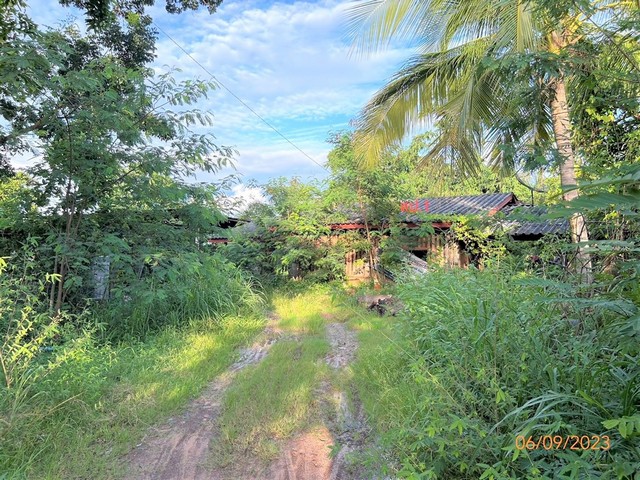 บ้านเดี่ยวใกล้ โลตัส เดชอุดม อำเภอเดชอุดม จังหวัดอุบลราชธานี PKK02-15802