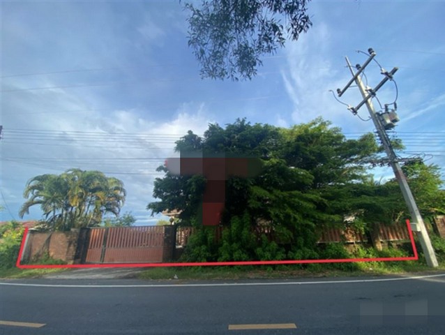 รายละเอียดเพิ่มเติมCode ID :   PKK02-15495ราคาขาย         3,909,000 บาท- ขนาดพื้นที่ :       145 ตร.ว (1 ไร่ / 45 ตร.ว)- พื้นที่ใช้สอย :  195.20 ตร.ม- จำนวนห้อง :     3 ห้องนอน 3 ห้องน้ำ- ที่จอดรถ :   1-2 คัน- บ้านเดี่ยว :    1 ชั้น- บ้านเดี่ยวหันทางทิศ : -- อายุอาคาร :    8 ปีพิกัดทรัพย์   :      https://maps.app.goo.gl/pCD858X9YDSKpVXCAสถานที่ใกล้เคียง- ใกล้โลตัส โกเฟรช สาขาสทิงพระ- ใกล้โรงเรียนสทิงพระวิทยา- ใกล้โรงเรียนสมพงศ์วิทยาจะทิ้งพระ- ใกล้ตลาดสดเทศบาล