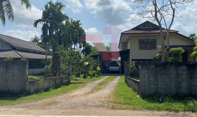 รายละเอียดเพิ่มเติมCode ID :    PKK02-12434ราคาขาย       3,999,000 บาท- ขนาดพื้นที่ :  2,793 ตร.ว (6 ไร่ / 3 งาน / 93 ตร.ว)- พื้นที่ใช้สอย :    237 ตร.ม- จำนวนห้อง :    1 ห้องนอน 1 ห้องน้ำ- ที่จอดรถ :    1-2 คัน- บ้านเดี่ยว  :      2 ชั้น- บ้านเดี่ยวหันทางทิศ : -- อายุอาคาร :   9 ปีพิกัดทรัพย์ :    https://maps.app.goo.gl/uyz8Z6S83A28b25d7สถานที่ใกล้เคียง- ใกล้โลตัส โกเฟรช ระโนด สงขลา- ใกล้บิ๊กซี มาร์เก็ต ระโนด - ใกล้โรงพยาบาลระโนด- ใกล้โรงเรียนวัดหัววังสอบถามเ�