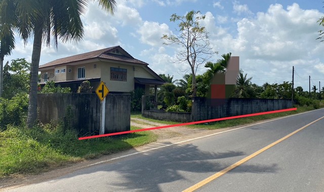 ขายบ้านเดี่ยว       อำเภอระโนด   สงขลา (PKK02-12434)