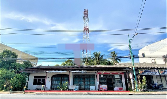 รายละเอียดเพิ่มเติมCode ID :    PKK02-09695ราคาขาย       9,700,000 บาท- ขนาดพื้นที่ :    223  ตร.ว (2 งาน / 23 ตตร.ว)- พื้นที่ใช้สอย :    306 ตร.ม- จำนวนห้อง :    3 ห้องนอน 3 ห้องน้ำ- ที่จอดรถ :    1-2 คัน- บ้านเดี่ยว  :      1 ชั้น- บ้านเดี่ยวหันทางทิศ : -- อายุอาคาร :    42 ปีพิกัดทรัพย์ :    https://maps.app.goo.gl/fpp2BpFPjhspYwY67สถานที่ใกล้เคียง- ใกล้โลตัส โกเฟรช ระโนด สงขลา - ใกล้บิ๊กซี มาร์เก็ต ระโนด- ใกล้โลตัส โกเฟรช ระโนด สงขลา- ใกล้โรงพยาบาลระโนดสอบถา