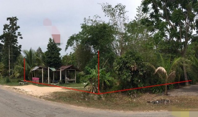 ขายบ้านเดี่ยว อำเภอคลองหอยโข่ง  สงขลา (PKK02-15711)