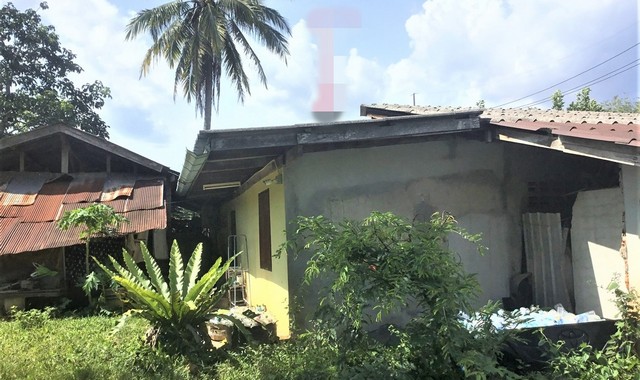 ขายบ้านเดี่ยว อำเภอคลองหอยโข่ง  สงขลา (PKK02-15057)