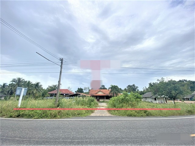 รายละเอียดเพิ่มเติมCode ID :    PKK02-11129ราคาขาย        2,779,000 บาท- ขนาดพื้นที่ :    456.50  ตร.ว (1 ไร่ / 56.50 ตตร.ว)- พื้นที่ใช้สอย :    71.50 ตร.ม- จำนวนห้อง :    2 ห้องนอน 1 ห้องน้ำ- ที่จอดรถ :    1-2 คัน- บ้านเดี่ยว  :      1 ชั้น- บ้านเดี่ยวหันทางทิศ : -- อายุอาคาร :    15 ปีพิกัดทรัพย์ :     https://maps.app.goo.gl/xzeNY2fE4eYdnznA9สถานที่ใกล้เคียง- ใกล้ตลาดนัดวันเสาร์ (หน้าวัดบางเหรียง)- ใกล้โลตัส โก เฟรช ควนเนียง สงขลา- ใกล้วัดคงคาวดี (ปากบางภูมี)- ใกล้โ�