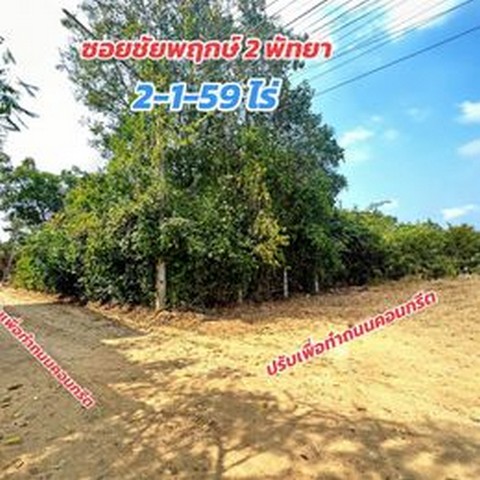 ที่ดินสวยๆ เหมาะแก่การลงทุน โซนพัทยา นาจอมเทียน ราคาถูกมากกก มาแล้วที่ดินเปล่าพัทยา-ชัยพฤกษ์2 ซอย1 เนื้อที่ 2-1-59 ไร่ ((ถนนคอนกรีตล้อมรอบ)สนใจติดต่อ=>>คุณยี่ 091-742-1874                   =>>Line ID: yeeyupin หรือกดเมมเบอร์ไลน์ขึ้น นะคะที่ดินเปล่าพัทยา-ชัยพฤกษ์2 ซอย1 เนื้อที่ 2-1-59 ไร่ ที่ดินแปลงสวย ทรงสี่เหลี่ยมผืนผ้า ไม่ต้องถม กว้าง 32 เมตร ยาว120 เมตร (ผังสีส้ม)- อยู่ในย้านชุมชน- ใกล้ตลาดน้ำสี่ภาค- ห