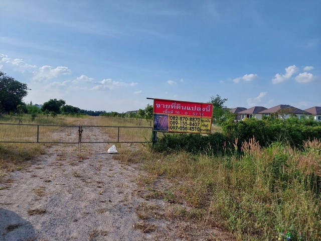 ZT317 ขายที่ดินสวย 16 ไร่ ถมแล้ว  ติดถนน 2 ด้าน  ปากช่องที่ตั้ง ต.หนองสาหร่าย อ.ปากช่อง จ.นครราชสีมา พื้นที่ 16-0-57 ไร่ - กว้าง 60 ม. ยาว 430 ม.- เหมาะทำโครงการบ้านจัดสรร, รีสอร์ท, คาเฟ่, เกษตรเชิงท่องเที่ยว, บ้านพักตากอากาศสถานที่ใกล้เคียง -สิรารมย์ เขาใหญ่ -คชาธาร รีสอร์ท -เพลินพูลวิลล่า เขาใหญ่ -Red Swan Ville -Skydive Thailand-ไร่แสนสุข ปากช่อง-The Sense of Wood ราคา 5,500,000 บาท/ไร่ -13,750 บาท/ตร.ว.ติดต่อ 082-8708870 แป้ง (Line ID: jsapeng)08