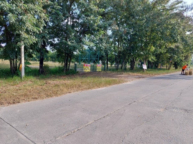 ขายที่ดินสวย 16 ไร่ ถมแล้ว  ติดถนน 2 ด้าน หนองสาหร่าย  ปากช่อง   จ.นครราชสีมา   ZT317