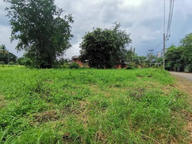 โซนแม่ริม ขายที่ดิน 8.5 ล้าน เนื้อที่ 1-1-62 ตรว. แม่สาหลวง ติดโครงการกรีนวัลเล่ย์เชียงใหม่ ด้านหลังติดLake วิวสนามกอล์ฟ