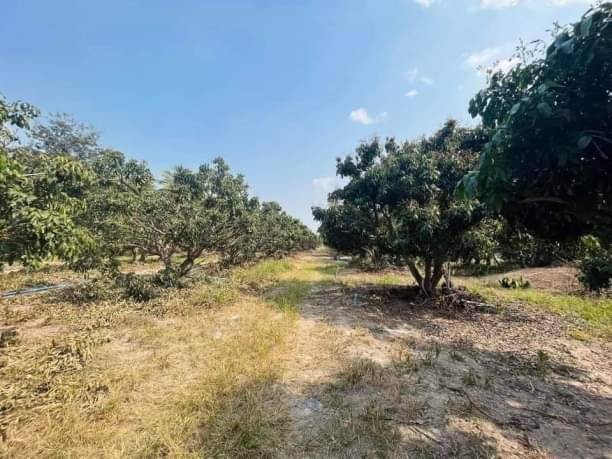 ขายด่วน ขายขาดทุน เพียง 2 ล.เท่านั้น เนื้อที่ 5 ไร่ 179 ตรว. #ดอยหล่อ #ใกล้ผาช่อ ทางไปอินทนนท์ เพียง 5 นาที จากถนนหลัก เหมาะสำหรับทำบ้านสวน บรรยากาศดี ร่มรื่น สิ่งอำนวยความสะดวกครบ ไม่แออัด ฟรีทุกค่าใช้จ่ายวันโอน!ลดราคาขายจาก 2.5 ล้านบาท เหลือเพียง 2 ล้านบาท เท่านั้นบริ​การยื่น​สินเชื่อ​ทุก​ธนาคาร​ฟรี​ ไม่มีค่าใช้จ่ายเอกสารที่ใช้ยื่นแบงค์สำหรับพนักงาน​ทำงานประ