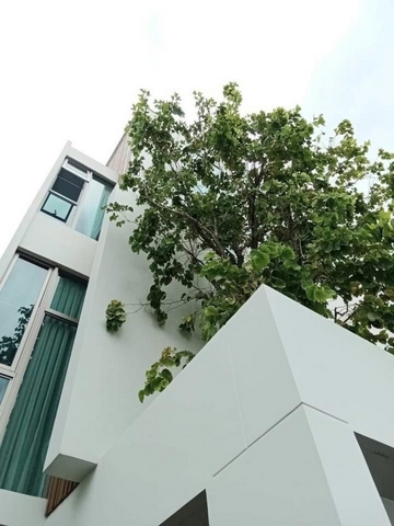 WW245GH ให้เช่า #บ้านเดี่ยว หมู่บ้านวีเว่ พระราม9 ถนนกรุงเทพกรีฑา  #ใกล้เดอะไนน์พระราม9 #ย่านกรุงเทพกรีฑา #วีเว่พระราม9 #vive_rama9