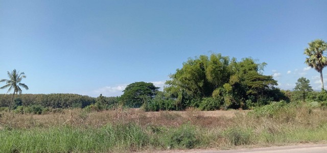 ทรัพย์ราคากันเองคุยกันได้เจ้าของขายเอง ขายที่ติดน้ำโขง ต.กุดบง อ.โพนพิสัย จ.หนองคาย หน้าติดถนนโยธาธิการ หลังติดแม่น้ำโขง ไร่ละ 2ล้านบาท โทร 096-882-1857