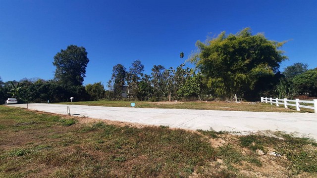 ขายที่ดินหลังตลาดแม่มาลัย .งานละ 600000 บาท โฉนด นส.4จ พร้อมโอน .สถานที่ใกล้เคียง- ตลาดแม่มาลัย 2 กม.- โลตัสแม่แตง 2 กม- สถานีตำรวจภูธรแม่แตง 4 กม.-  AIR DIAMOND CAFÉ & HOTEL 5 กม- วัดพระธาตุดอยจอมแจ้ง 10 กม - มหาวิทยาลัยราชภัฎเชียงใหม่ ศูนย์แม่ริม 15 กม.ติดต่อ คุณพีช 080 - 4191520 Line ID: Sentellathai