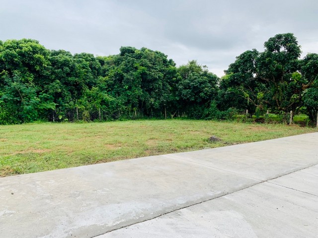 พื้นที่ดิน - ขนาดพื้นที่ 101 Square Wah 0 NGAN 0 Rai  ใกล้ ตลาดแม่มาลัย ราคาสุดคุ้ม เชียงใหม่