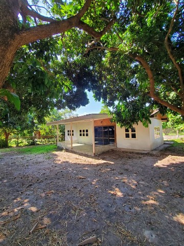 ขายด่วน บ้านและปล่อยเช่า พร้อมเฟอร์นิเจอร์ ตำบล ขี้เหล็ก  อำเภอแม่แตง จังหวัดเชียงใหม่ขนาด 124 ตารางวา 2 ห้องนอน1 ห้องน้ำพร้อมเฟอร์นิเจอร์ ราคาขาย 1,300,000 บาทปล่อยเช่า 3000 บาท/เดือนสนใจโทรติดต่อสอบถามรายละเอียดเพิ่มเติมได้ที่เบอร์ติดต่อ 065-4478596(M)ที่ตั้ง:ต.ขี้เหล็ก อ.แม่แตง เชียงใหม่