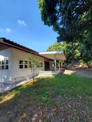 ขายบ้านและปล่อยเช่า พร้อมเฟอร์นิเจอร์ ต.ขี้เหล็ก  อำเภอแม่แตง จังหวัดเชียงใหม่