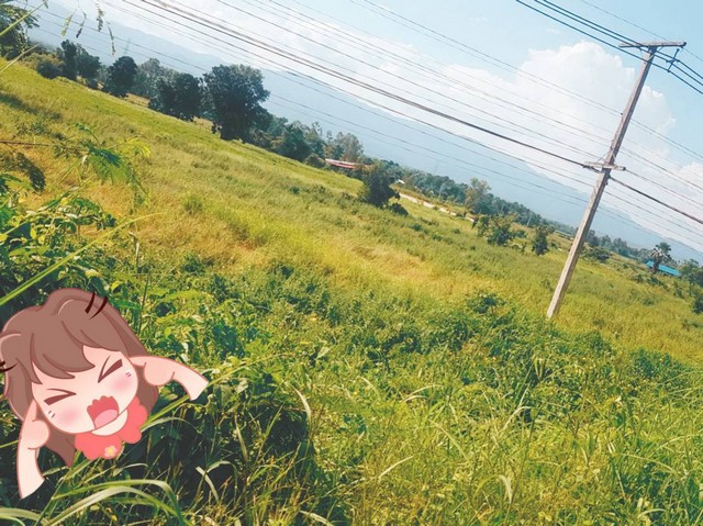 ขายที่ดิน ติดAH1 สวยมากมาย ติดถนนพหลโยธิน ที่ดินติดถนนเอเซีย หน้ากว้างติดถนนหลักสายเอเซียยาว แปลงที่ดินรูปสี่เหลี่ยมผืนผ้า เนื้อที่ 3-1-40 ไร่ ฉ.11317 ต.ตากออก อ.บ้านตาก จ.ตาก   เช่า 2000 บาท/ไร่/ปี  แบ่งโฉนดขาย ราคาไร่ละ 2,500,000 บาท แบ่งโฉนดขายได้ ติดถนนสายหลักใหญ่ของแผนที่ประเทศไทยเส้นทางหลักขึ้นสายเหนือ AH1 ทำเลดีนี่เลย ขายที่สวยติดถนนพหลโยธิน  ที่ดินติดถนนเอเซีย AH1  หน้าก