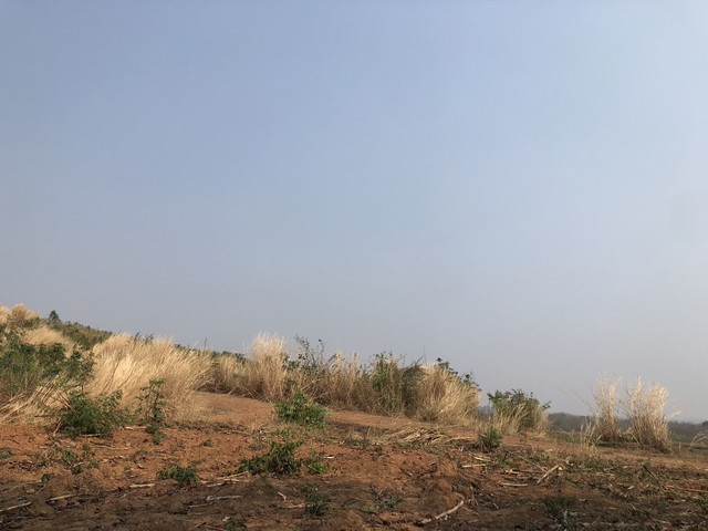 ขายที่สวยบนเขา แบ่งโฉนดขาย ไร่ละ 180000-250000 บาท   เช่า 700 บาท/ไร่/ปี  ต.หล่มเก่า อ.หล่มเก่า จ.เพชรบูรณ์ วิวเขา ใกล้ภูทับเบิก ที่ดินบนเนินเขาวิวสวยทิวทัศน์ดี บรรยากาศสดชื่น บริสุทธิ์ อากาศดี้ดีฟินสุดสุดค่าใช้จ่ายวันโอนทั้งหมดครึ่งครึ่งซื้อผ่อนเจ้าของได้ วางดาวน์ 30% ผ่อนต่อ 5ปีที่ดินสวย ที่ดินบนเขา บรรยากาศสดชื่น แสนสบายสดใส ใกล้แหล่งน้ำ ธรรมชาติรายล้อมทำเลดี วิวส