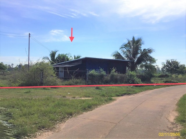   รายละเอียดเพิ่มเติม Code ID : PKK02-14787  ราคาขาย 5,862,000  บาท- ขนาดพื้นที่ :  11100.00 ตร.ว. - พื้นที่ใช้สอย :   72 ตร.ม- จำนวนห้อง :   1 ห้องนอน 1 ห้องน้ำ - ที่จอดรถ :    1   คัน- บ้านหันทางทิศ : - พิกัดทรัพย์ : https://maps.app.goo.gl/QQYKt82Ph9oaYwqQA    สถานที่ใกล้เคียง- ใกล้โรงพยาบาลนาเยีย- ใกล้ถูกซูเปอร์สโตร์8989นาเยีย(ขายปีก-ส่ง) - ใกล้โรงข้าวปุ้น- ใกล้ร้านบัวหลวง หมูกระทะ สอบถามเพิ่มเติม/นัดชมโทร. 097-419-5982(พลอย)โทร. 096-932-4624(ออมสิน)Line : @panaya (มี