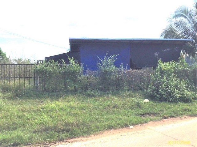 ขายบ้านเดี่ยวใกล้ โรงพยาบาลนาเยีย อำเภอนาเยีย จังหวัดอุบลราชธานี PKK02-14787