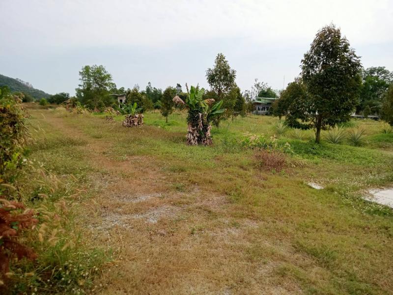 ขายที่ดินพร้อมบ้าน    2 ไร่ไ  9ตารางวา  เจ้าของขายเอง ตำบลเขาพระ  อำเภอเมือง จังหวัดนครนายก