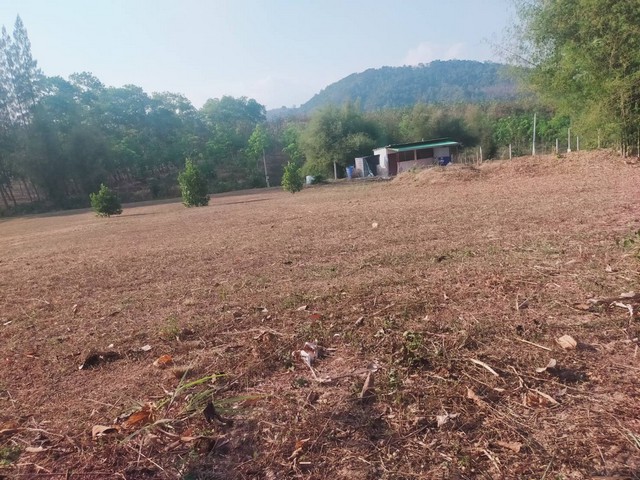 ขายที่ปรับแล้ววิวเขาในโครงการออร์ชาร์ดปาร์ค เขตสองสลึง อ.แกลง จ.ระยอง